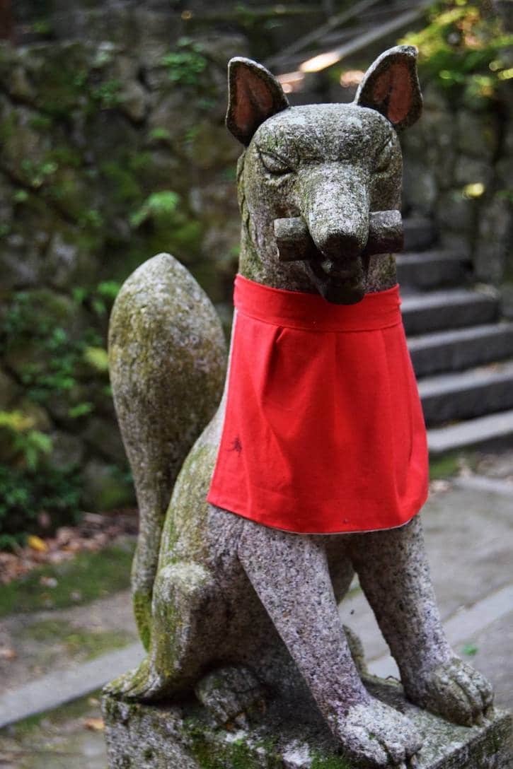 Photo of the foxes at the fushimi inari shrine in Kyoto. Read about the best places to visit in Kyoto! #travel #asia #japan #kyoto