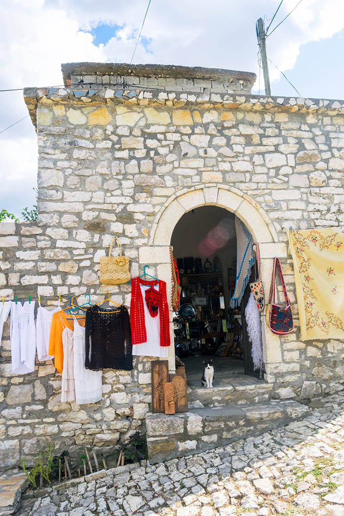 Catspotting photo of a cute cat in Berat Albania, one of the best destinations for cute cats in Albania!