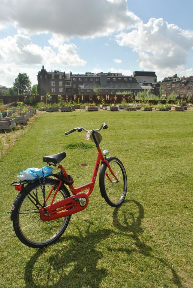 Bike rental in Amsterdam. Read 20 tips about biking in Amsterdam that you'll want to know, including Amsterdam bike etiquette and Amsterdam rules by a resident. #biking #netherlands #travel #amsteradm #bicycling