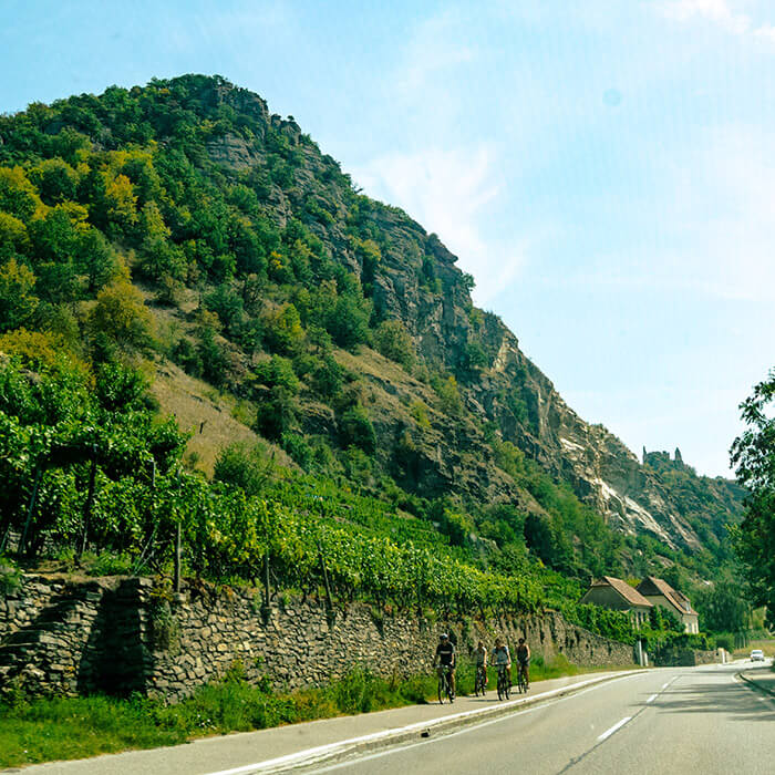 Beautiful view of wineries outside of Dürnstein, Austria with a view of the Burgruine Dürnstein in the distance.  Dürnstein is at the heart of Austrian wine country, just a day trip from Vienna. #travel #vienna #austria #wineries