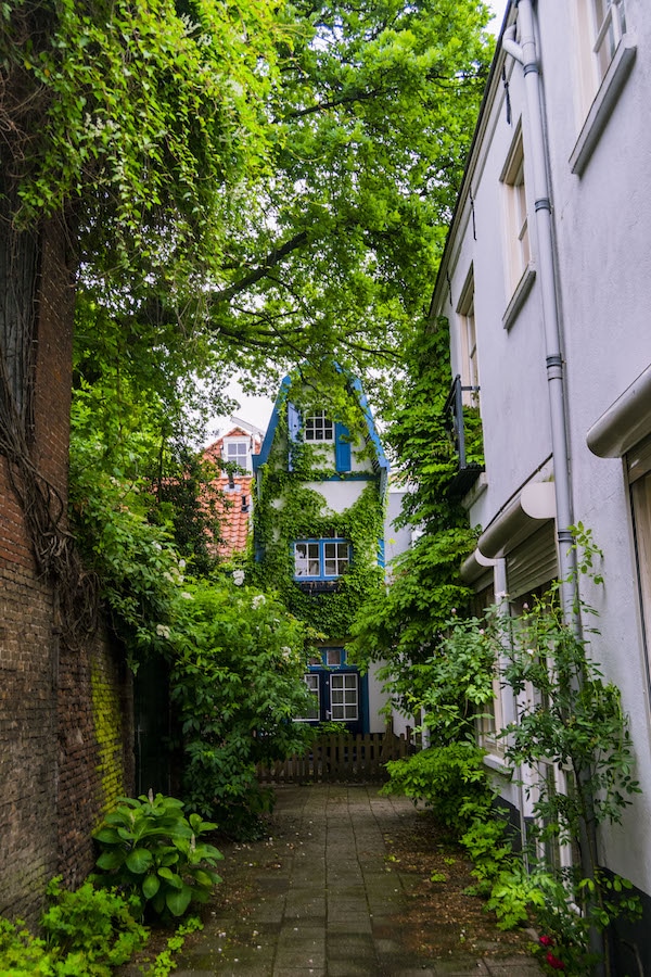 Spinozapoort has the entrance to a beautiful hofje in the Hague, one of the many secret places in the Hague! #travel #hofje #denhaag