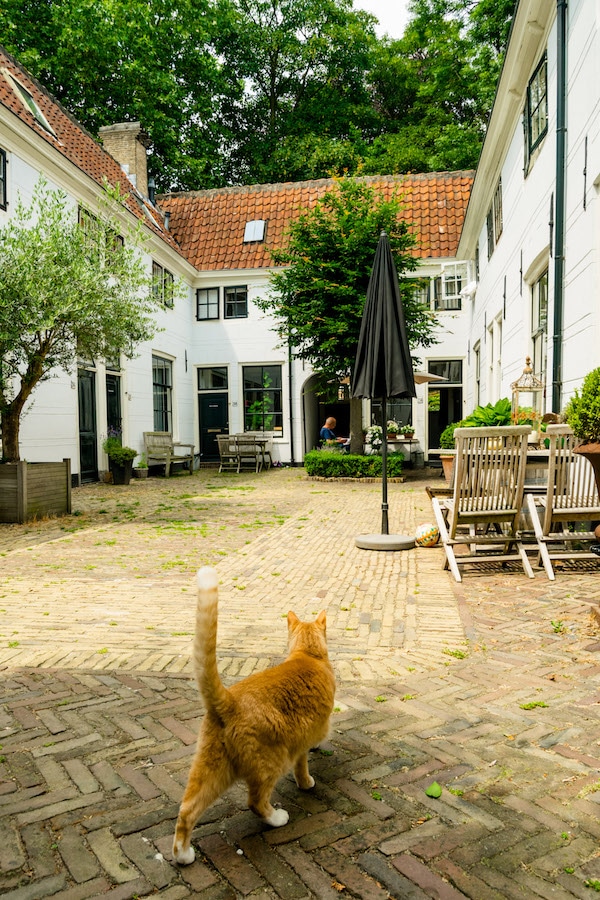 Hofje van Cincq, a beautiful hofje in Gouda. Seeing the hofjes is one of the best things to do in Gouda, the Netherlands. #travel #gouda #holland #netherlands