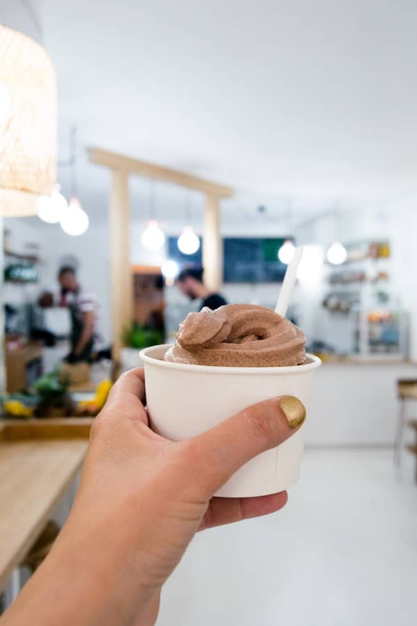 Chocolate vegan ice cream at a vegan restaurant in Gouda, the Netherlands. #travel #food #vegan