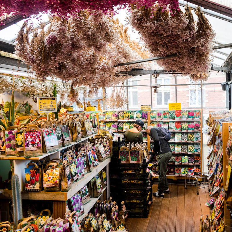 Bloemenmarkt, the Amsterdam Flower Market, is one of the places where you'll want to get a photo in Amsterdam! #travel #amsterdam #netherlands